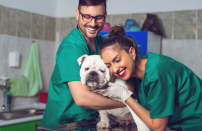 Recognizing Pet Emergencies – Knowing When To Seek Urgent Veterinary Care.